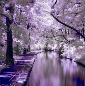 Meet your Posher, Sharlene